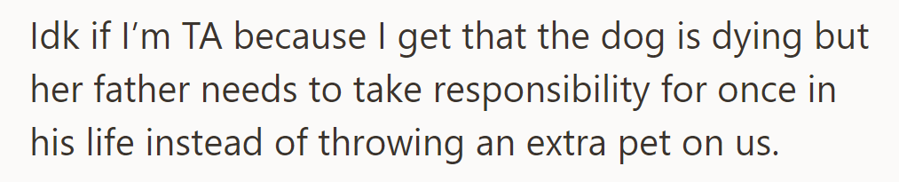 OP questions if she's in the wrong, understanding the dog's condition but frustrated by the shifting of responsibilities.