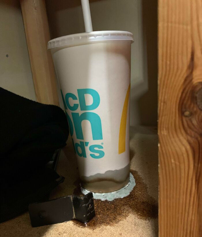 40. A coworker went on vacation and left their beverage behind for us to take care of several days afterward.