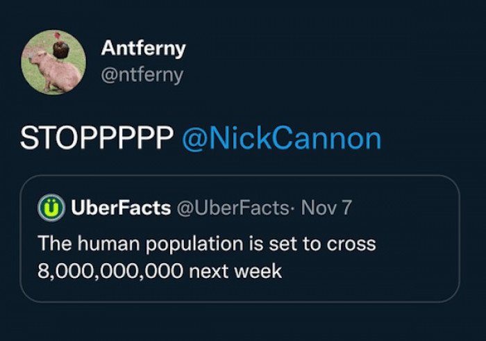 3. Please, someone? Anyone?