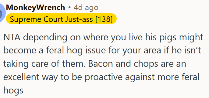 Pigs Left Unchecked Could Become a Feral Hog Problem.