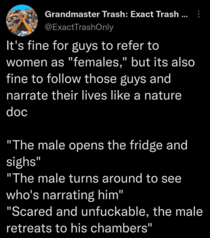 22. A nature documentary