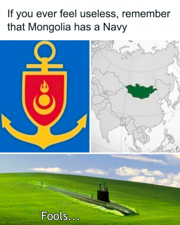 23. The Mongolian Navy