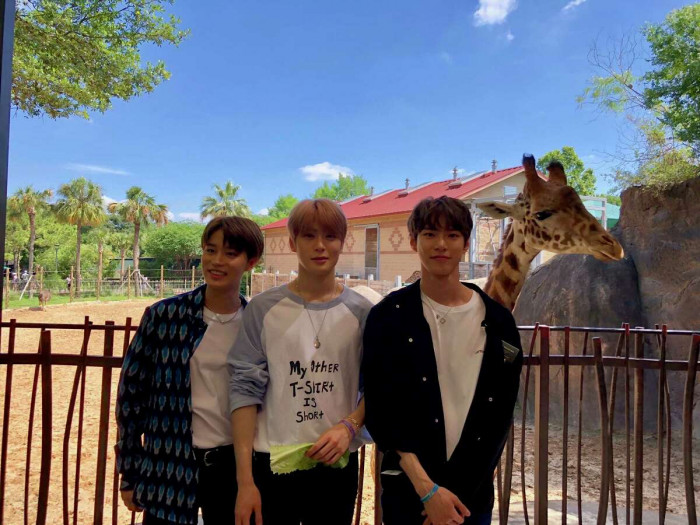 1. Visit animals at the local zoos/national parks