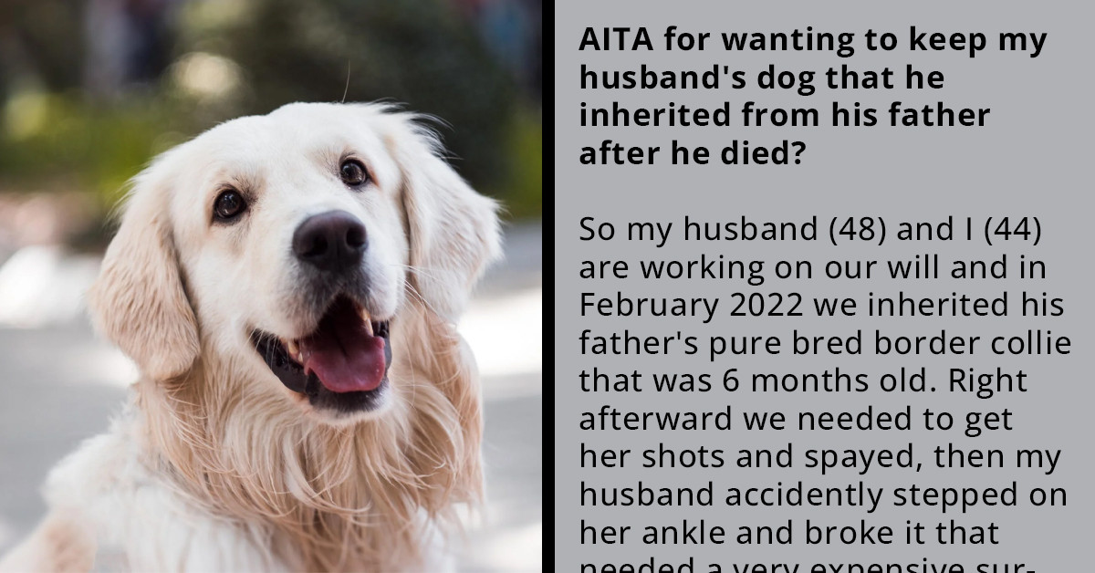 Young And Healthy Spouses Argue Over "What If" Situation - Who Should Take Care Of Their Dog If They Unexpectedly Die