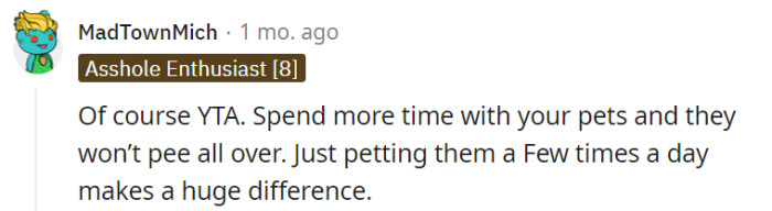 Your presence can turn their little accidents into distant meow-mories!