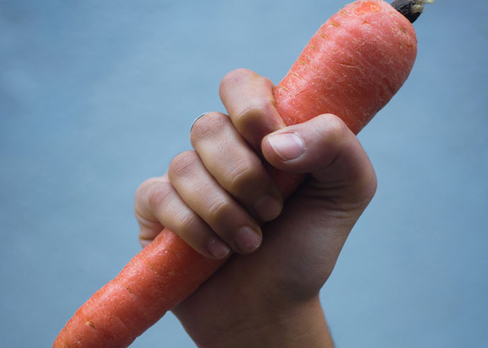 3. I told my kid that carrots help you see in the dark. He then went into the basement with a carrot and started waving it around like a flashlight.