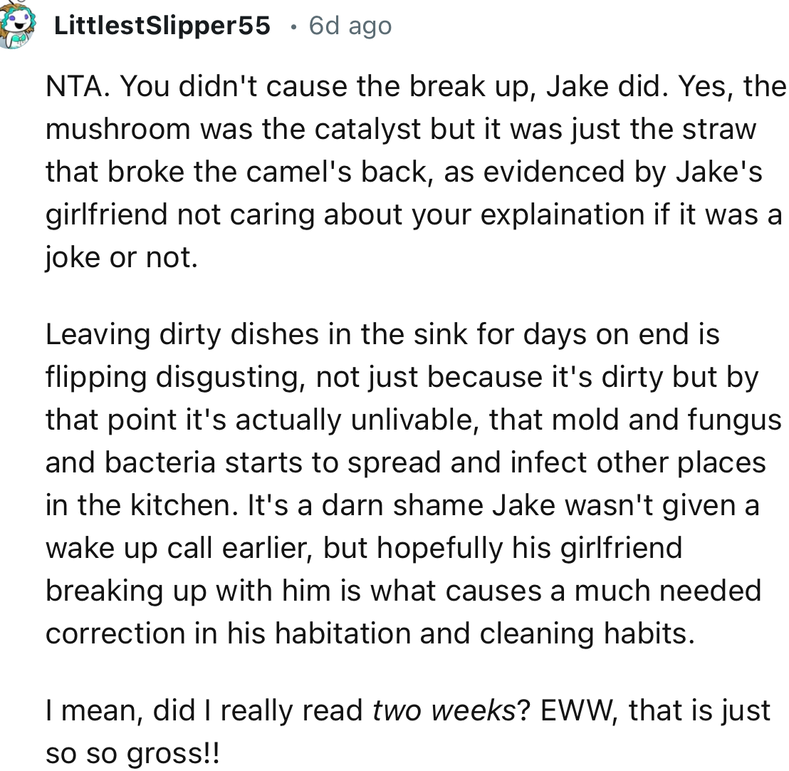 “Leaving dirty dishes in the sink for days on end is flipping disgusting, not just because it's dirty, but by that point, it's actually unlivable; that mold, fungus, and bacteria start to spread and infect other places in the kitchen.”