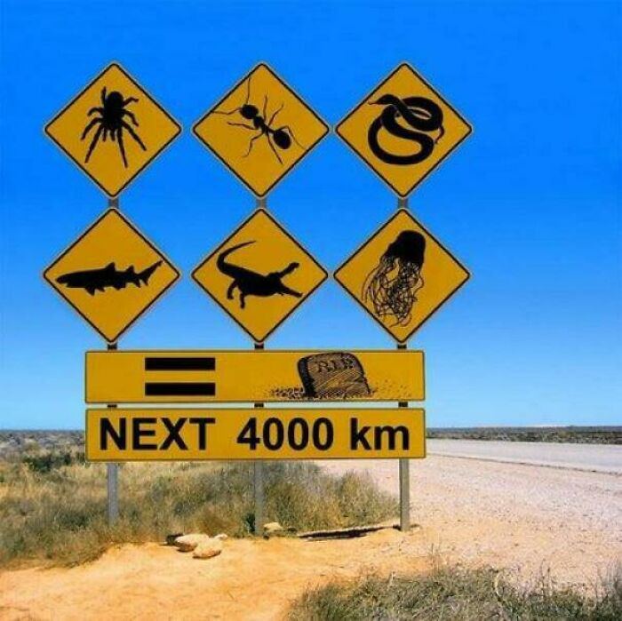 "Ok I'll Not Go There"