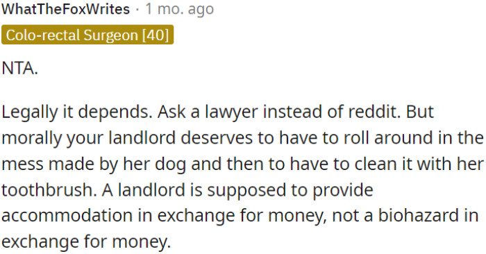 Landlords are morally obliged to provide safe and clean accommodations, not hazardous environments