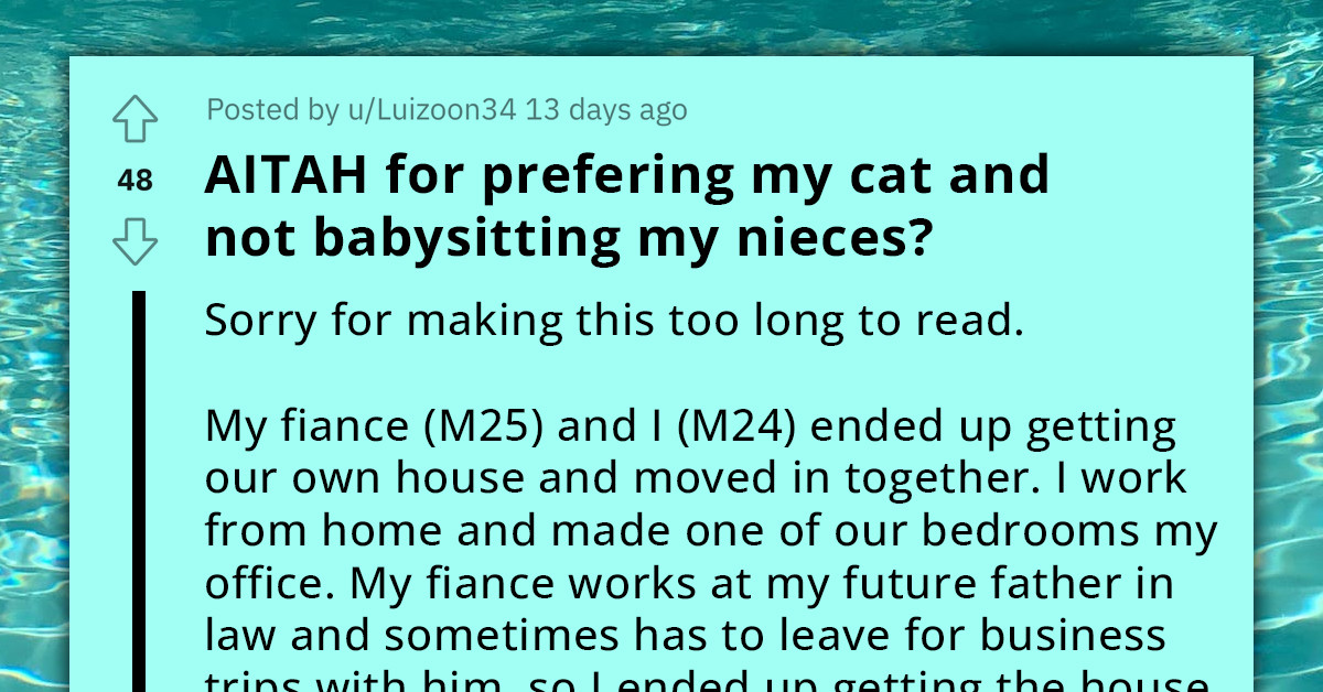 Entitled Mom Calls Her Cousin Selfish And Tells Him To Get Rid Of His Cat After He Refused To Babysit Her Five Children For Free