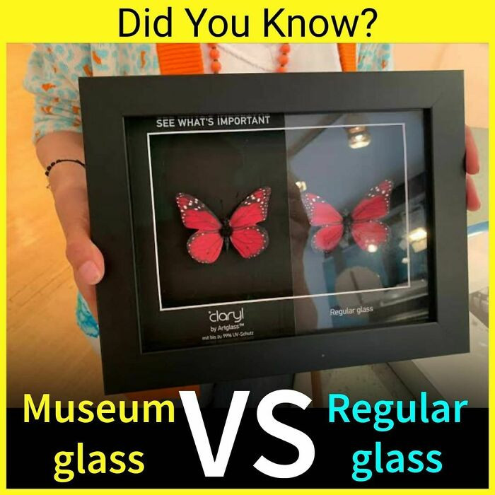 27. Museum Glass vs. Regular Glass