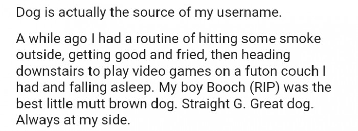 The OP made sure to mention that the dog inspired his username