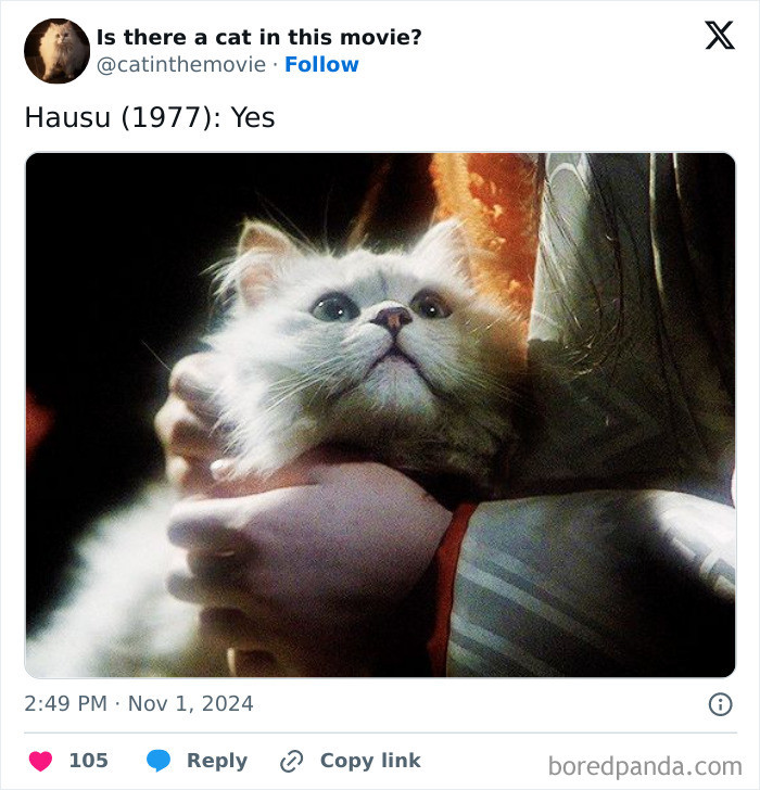 Cat-focused film critique theme, with Hocus Pocus 2 and A New Kind of Film Critique