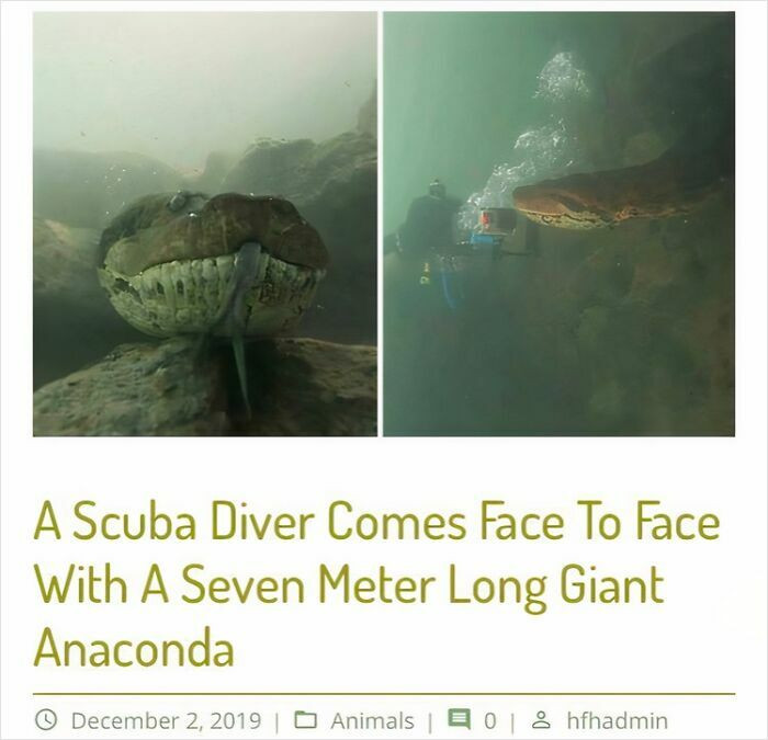 "Another Reason To Stay Out Of The Water"