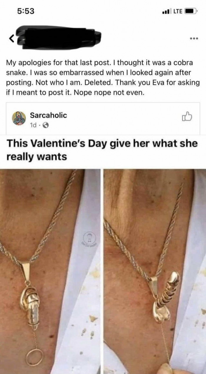 14. I THOUGHT IT WAS A COBRA