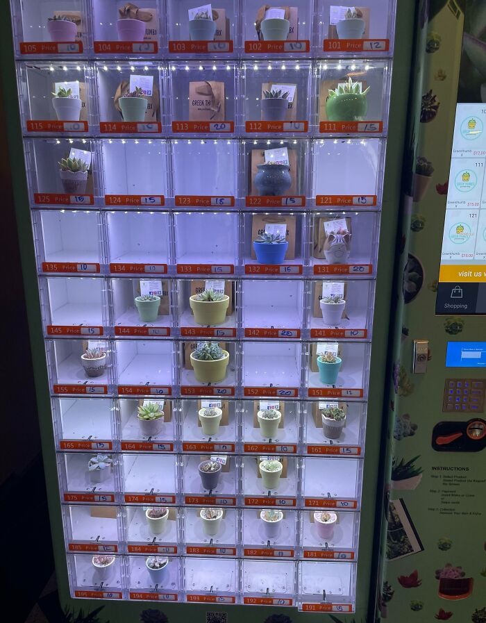 23. Succulent Vending Machine In A Nearby Mall
