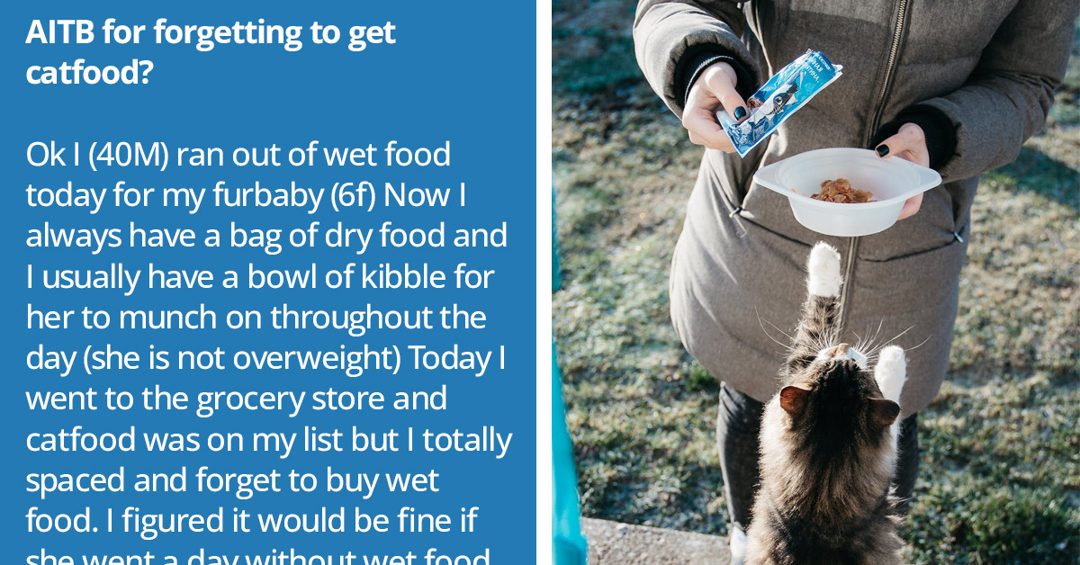 Redditor Is Wondering If He Made A Mistake By Forgetting To Get Cat Food