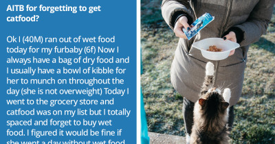 Redditor Is Wondering If He Made A Mistake By Forgetting To Get Cat Food